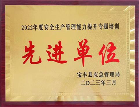 安全生產(chǎn)管理能力提升專題培訓(xùn)先進單位                                