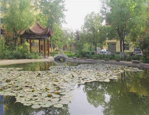生產區(qū)一角（5）                                          